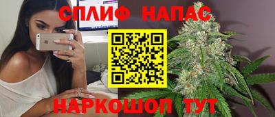 СК Краснознаменск