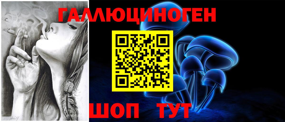 Донской  что такое наркотик  Галлюциногенные грибы мицелий  Вход с VPN  Псилоцибиновые грибы Cubensis 