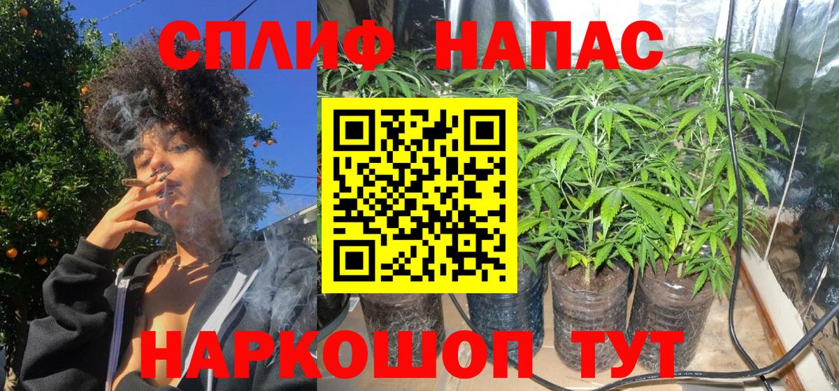 Бошки Шишки семена Донской